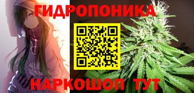 шишки Краснодар