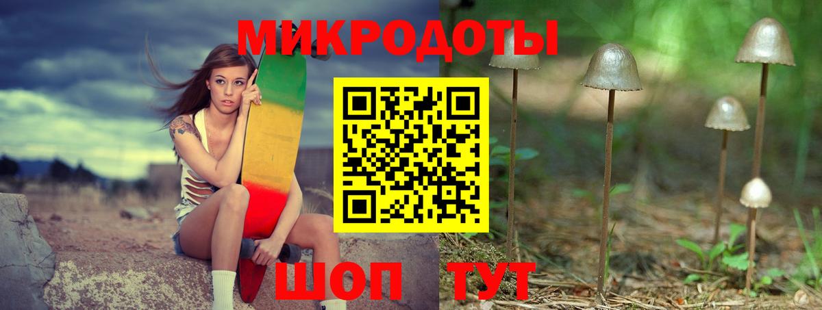 Псилоцибиновые грибы Psilocybe Когалым